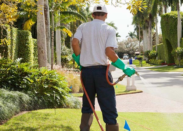 About Miramar Beach FL Pest Control Pros